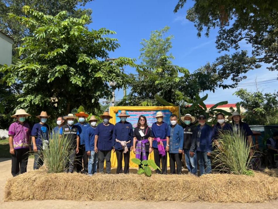 เปิดกิจกรรมโครงการส่งเสริมปลูกผักสวนครัว แนวรั้วเทศบาลตามแนวปรัชญาเศรษฐกิจพอเพียง